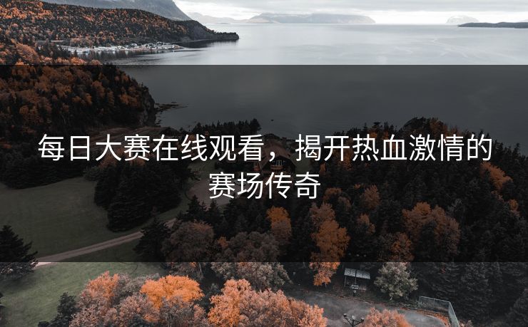每日大赛在线观看,揭开热血激情的赛场传奇