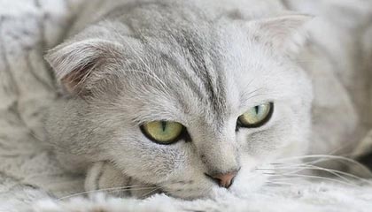 探寻真实差别：大赛热点背后的故事