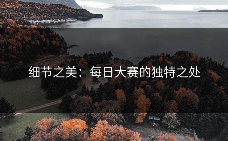 细节之美:每日大赛的独特之处 细节之美:每日大赛的独特之处